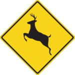 How to lower your risk for a deer collision