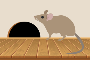 Rodent Damage & Preventative Steps to Take This Winter in Hattiesburg, Mississippi